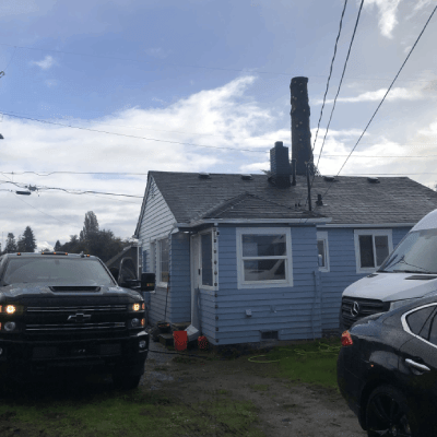 Tree Removal